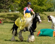 Pferd International 2025 - Schauprogramm