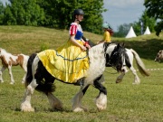 Pferd International 2025 - Schauprogramm