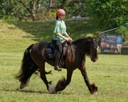 Pferd International 2025 - Schauprogramm
