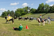 Pferd International 2025 - Schauprogramm