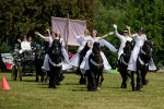 Pferd International 2025 - Schauprogramm