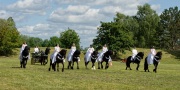 Pferd International 2025 - Schauprogramm