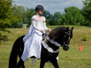 Pferd International 2025 - Schauprogramm