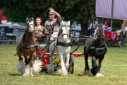 Pferd International 2025 - Schauprogramm