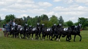 Pferd International 2025 - Schauprogramm