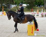 Pferd International 2025:Preis des FRB e.V.