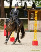 Pferd International 2025:Preis des FRB e.V.