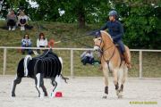 Pferd International 2025:Preis des FRB e.V.