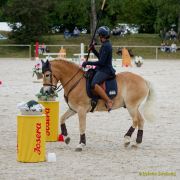 Pferd International 2025:Preis des FRB e.V.