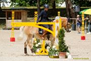 Pferd International 2025:Preis des FRB e.V.