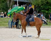 Pferd International 2025:Preis des FRB e.V.