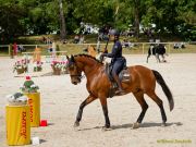 Pferd International 2025:Preis des FRB e.V.