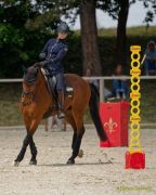 Pferd International 2025:Preis des FRB e.V.