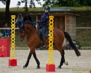 Pferd International 2025:Preis des FRB e.V.