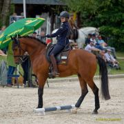 Pferd International 2025:Preis des FRB e.V.