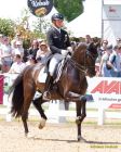 Pferd International 2025: Preis der Liselott und Klaus Rheinberger StiftungNr. 26 CDI 5 Grand Prix Special