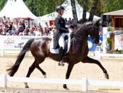 Pferd International 2025: Preis der Liselott und Klaus Rheinberger StiftungNr. 26 CDI 5 Grand Prix Special