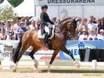 Pferd International 2025: Preis der Liselott und Klaus Rheinberger StiftungNr. 26 CDI 5 Grand Prix Special