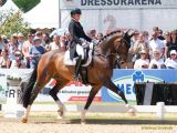 Pferd International 2025: Preis der Liselott und Klaus Rheinberger StiftungNr. 26 CDI 5 Grand Prix Special
