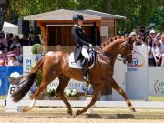 Pferd International 2025: Preis der Liselott und Klaus Rheinberger StiftungNr. 26 CDI 5 Grand Prix Special