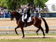 Pferd International 2025: Preis der Liselott und Klaus Rheinberger StiftungNr. 26 CDI 5 Grand Prix Special