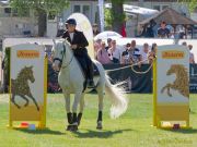 Pferd International 2025: Masters of Speed präsentiert von Josera Pferdefutter