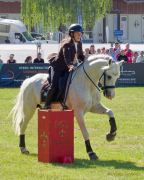 Pferd International 2025: Masters of Speed präsentiert von Josera Pferdefutter