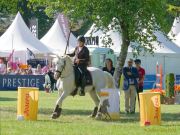 Pferd International 2025: Masters of Speed präsentiert von Josera Pferdefutter