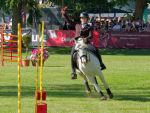 Pferd International 2025: Masters of Speed präsentiert von Josera Pferdefutter