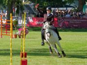 Pferd International 2025: Masters of Speed präsentiert von Josera Pferdefutter