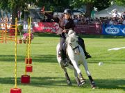 Pferd International 2025: Masters of Speed präsentiert von Josera Pferdefutter