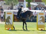 Pferd International 2025: Masters of Speed präsentiert von Josera Pferdefutter