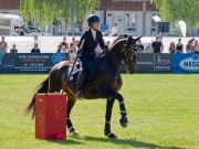 Pferd International 2025: Masters of Speed präsentiert von Josera Pferdefutter