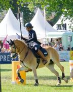 Pferd International 2025: Masters of Speed präsentiert von Josera Pferdefutter