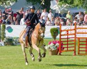 Pferd International 2025: Masters of Speed präsentiert von Josera Pferdefutter