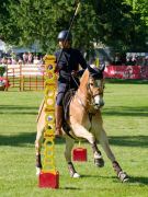 Pferd International 2025: Masters of Speed präsentiert von Josera Pferdefutter