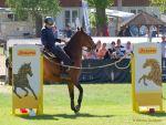 Pferd International 2025: Masters of Speed präsentiert von Josera Pferdefutter