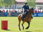 Pferd International 2025: Masters of Speed präsentiert von Josera Pferdefutter