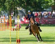 Pferd International 2025: Masters of Speed präsentiert von Josera Pferdefutter