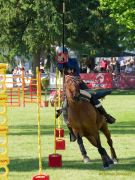 Pferd International 2025: Masters of Speed präsentiert von Josera Pferdefutter