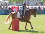 Pferd International 2025: Masters of Speed präsentiert von Josera Pferdefutter