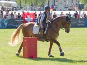 Pferd International 2025: Masters of Speed präsentiert von Josera Pferdefutter