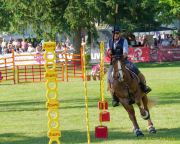 Pferd International 2025: Masters of Speed präsentiert von Josera Pferdefutter
