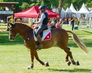 Pferd International 2025: Masters of Speed präsentiert von Josera Pferdefutter