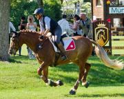 Pferd International 2025: Masters of Speed präsentiert von Josera Pferdefutter