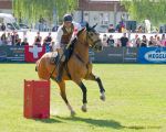 Pferd International 2025: Masters of Speed präsentiert von Josera Pferdefutter