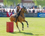 Pferd International 2025: Masters of Speed präsentiert von Josera Pferdefutter