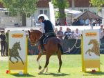 Pferd International 2025: Masters of Speed präsentiert von Josera Pferdefutter