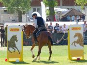 Pferd International 2025: Masters of Speed präsentiert von Josera Pferdefutter