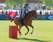 Pferd International 2025: Masters of Speed präsentiert von Josera Pferdefutter